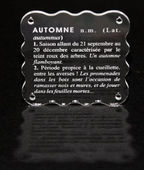 Embellissement Scrap Définition de l'Automne en Transparence givrée