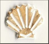 Embellissement Scrap Coquille Saint Jacques