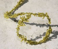 Embellissement Scrap Ruban de Feuillage, couleur Vert Tilleul