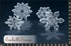 embellissement en français pour le scrapbooking Flocons de Neige de Catangel, en Transparence