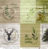 embellissement en français pour le scrapbooking Etiquettes à découper « Un brin de nature », Coll. Esprit nature