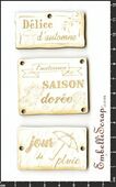 Embellissement Scrap Plaques 