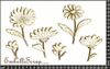 embellissement en français pour le scrapbooking Fleurs des champs printanières, en Carton 