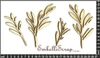 embellissement en français pour le scrapbooking Petits branchages, en Carton