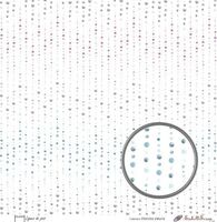 Embellissement Scrap Lignes de pois, Coll. Flocons fleuris